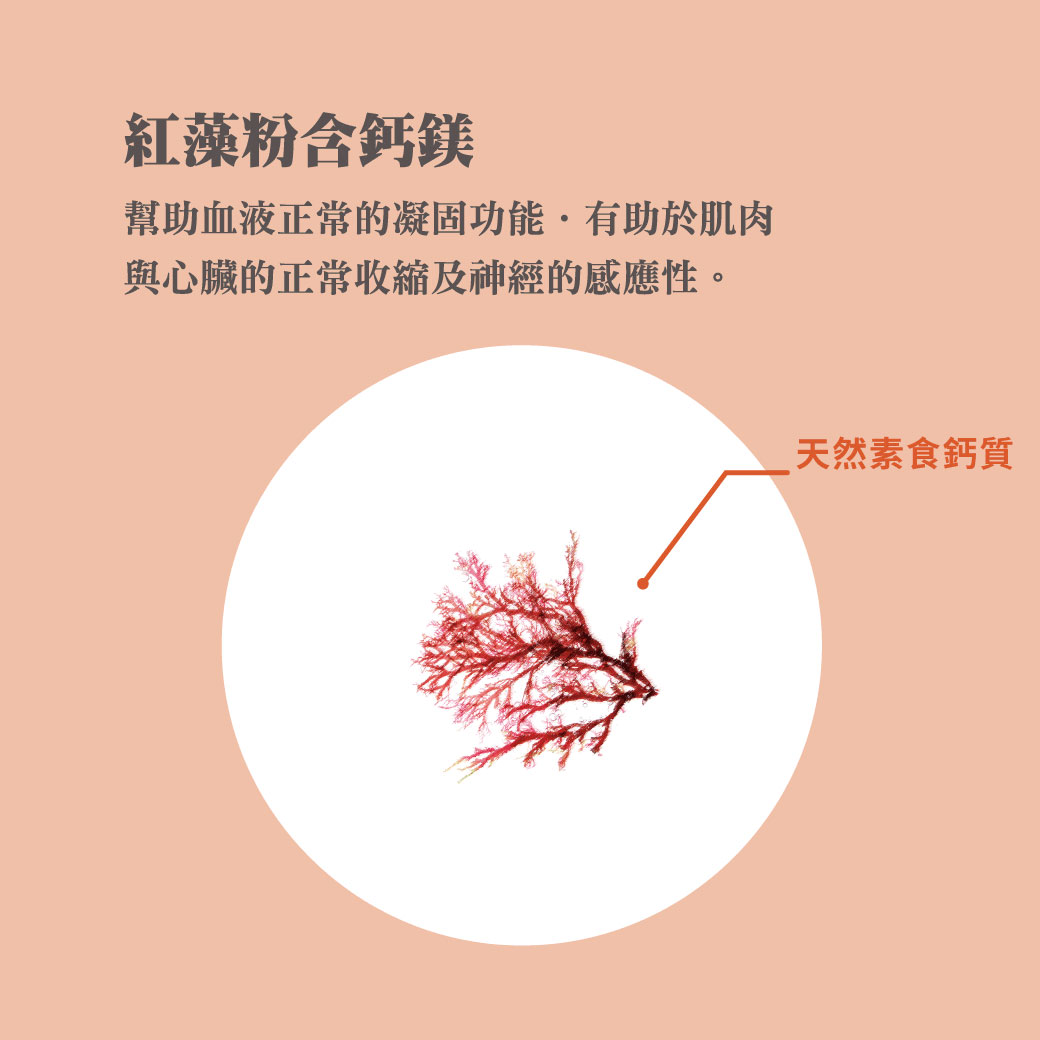 紅藻鈣，有助維持肌肉與心臟正常收縮及神經感應