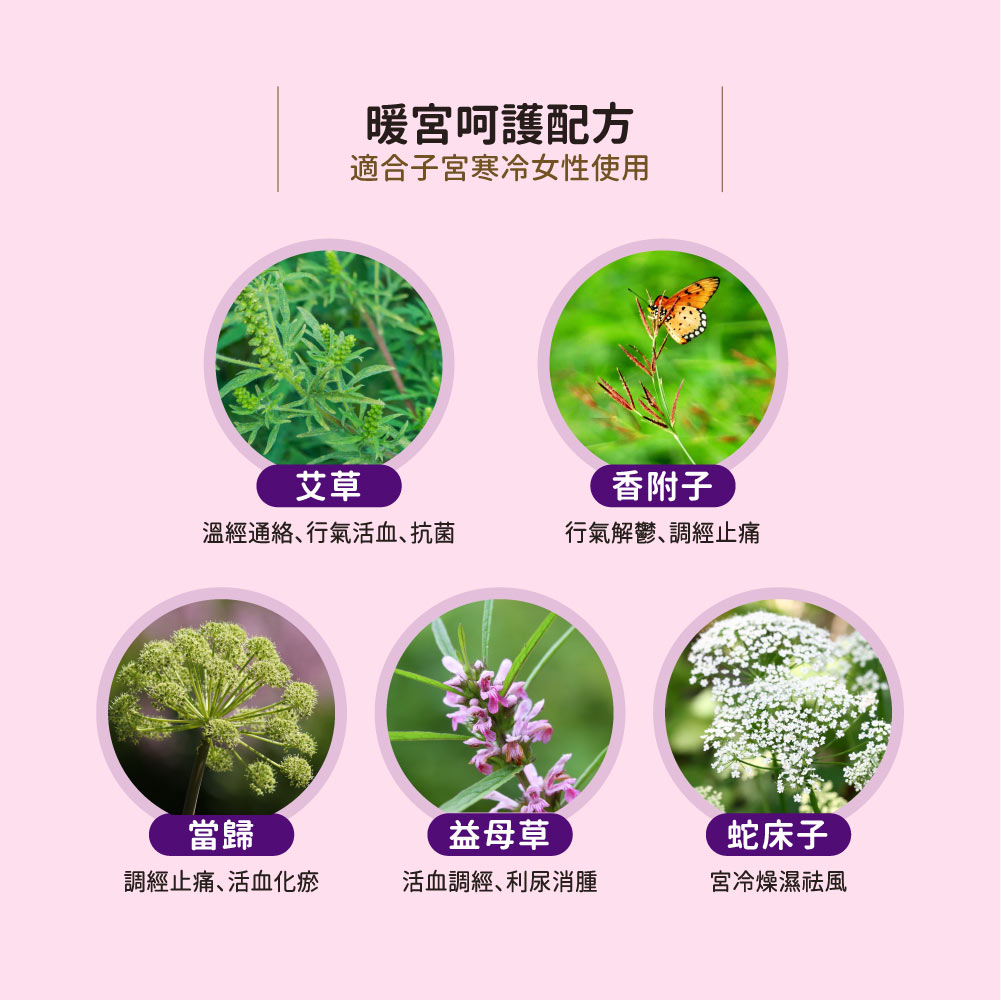 HiBIS木槿花暖宮夜用草本衛生棉，溫經理氣五種天然漢方成分圖：艾草、當歸、益母草、蛇床子、香附子